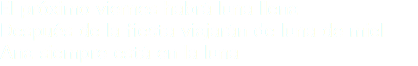 El próximo viernes habrá luna llena
Después de la fiesta viajarán de luna de miel
Ana siempre está en la luna